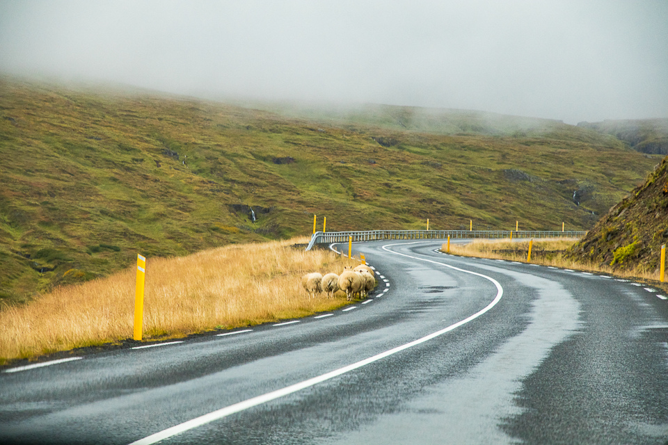 IMG_2567.jpg IMG_2567.jpg