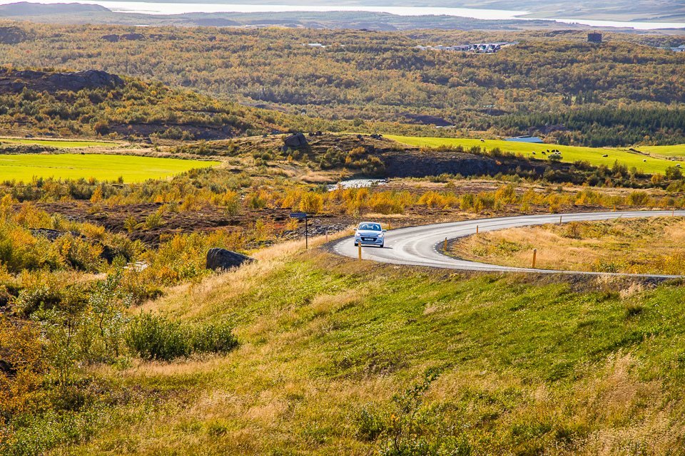 IMG_2625.jpg IMG_2625.jpg