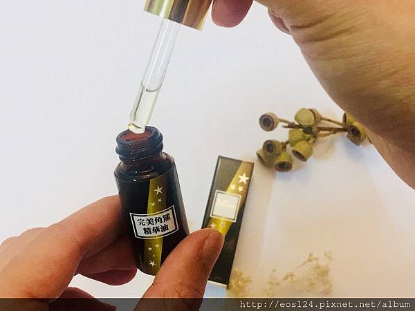 S__36020294.jpg 試用