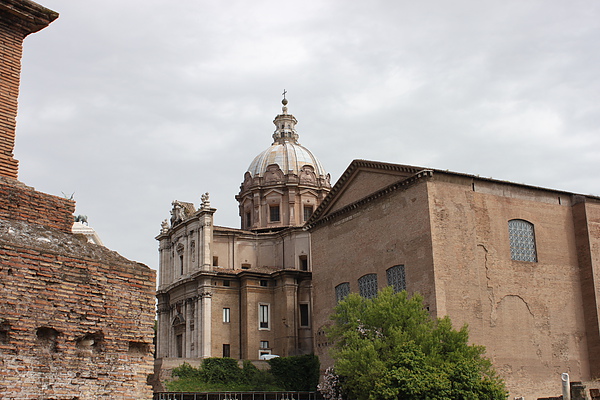 la curia