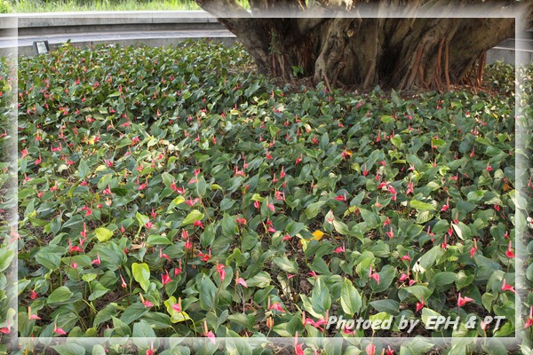 20120128_140213.JPG 20120128_140213.JPG