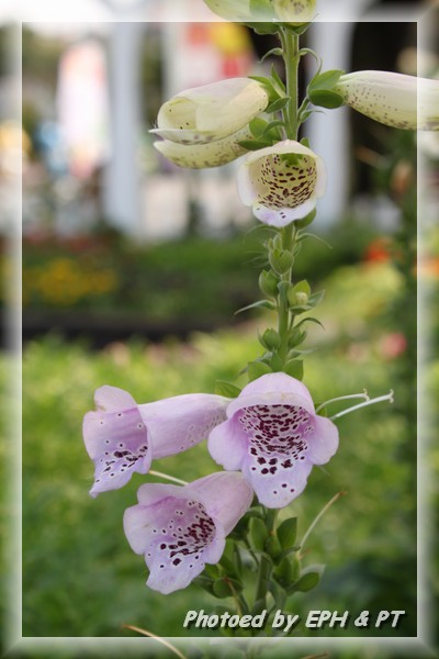 20120128_141004.JPG 20120128_141004.JPG