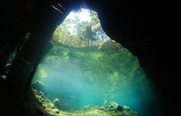 Yucatan Cenote-2