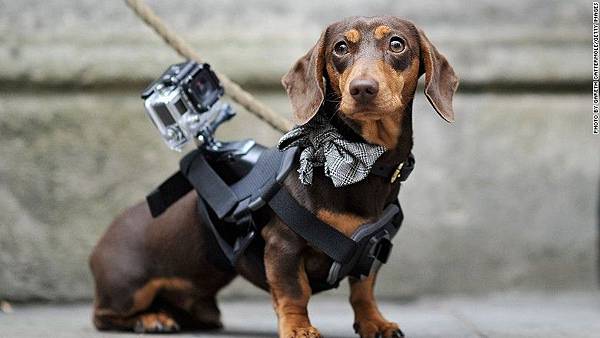 gopro 市佔率會低嘛? gopro 市佔率會低嘛?