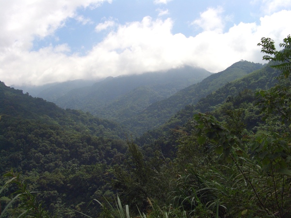 司馬限林道沿途山景