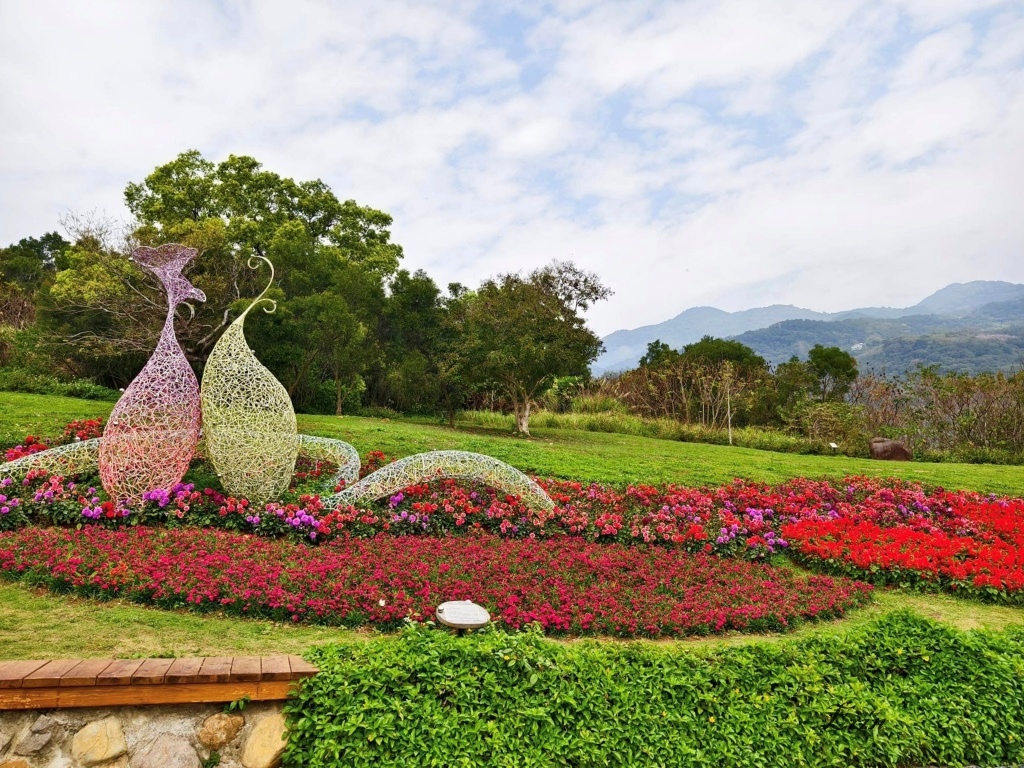 【新北景點】北投三層崎公園花海~上帝的花毯遺落在這翠綠的山谷