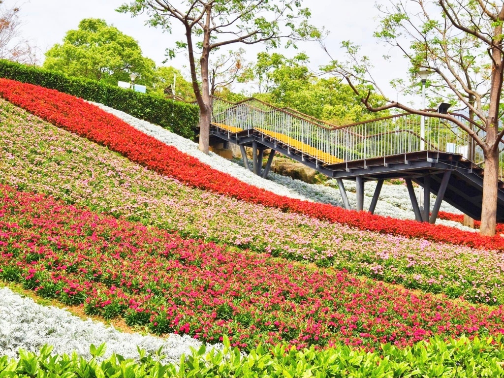 【新北景點】北投三層崎公園花海~上帝的花毯遺落在這翠綠的山谷