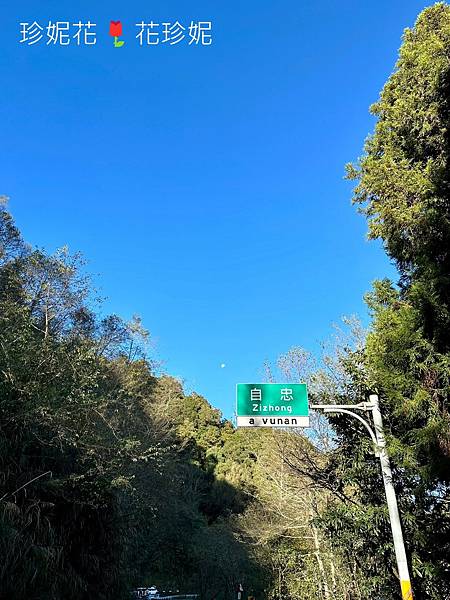 【嘉義｜阿里山遊記】「特富野古道」山林古道全程來回健行遊~