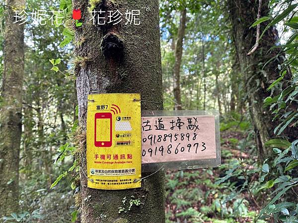 【嘉義｜阿里山遊記】「特富野古道」山林古道全程來回健行遊~