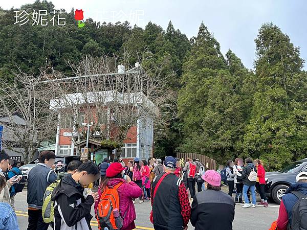 【嘉義｜阿里山遊記】「特富野古道」山林古道全程來回健行遊~