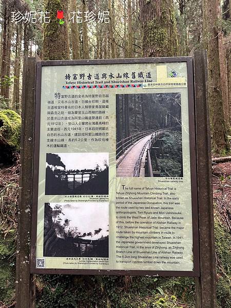 【嘉義｜阿里山遊記】「特富野古道」山林古道全程來回健行遊~