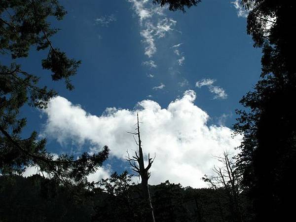 關山嶺山途中