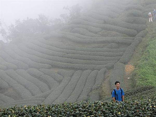 霧氣