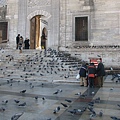 鴿子清真寺