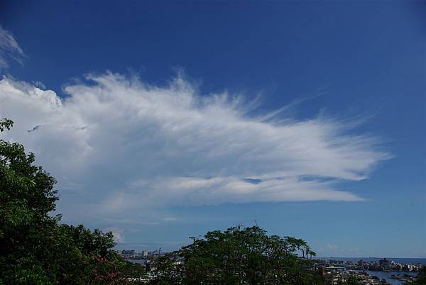 捲積雲