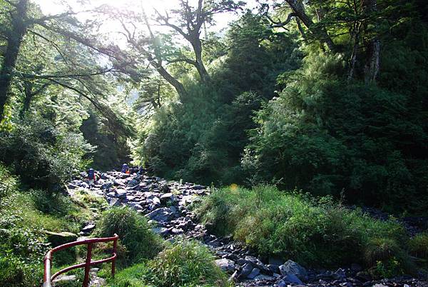 山屋旁的小溪