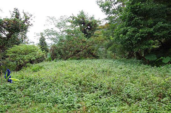 黃麻駐在所遺址