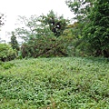 黃麻駐在所遺址