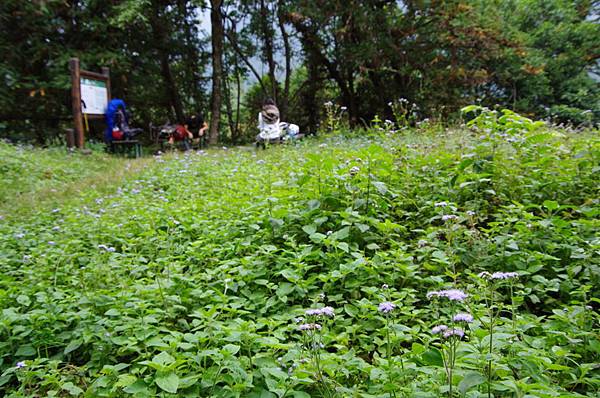 黃麻駐在所遺址