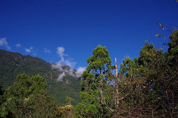 遠山