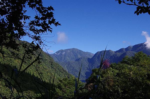 遠山