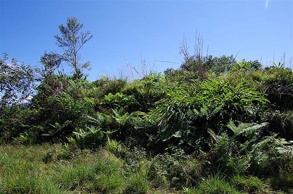 多土袞駐在所遺址