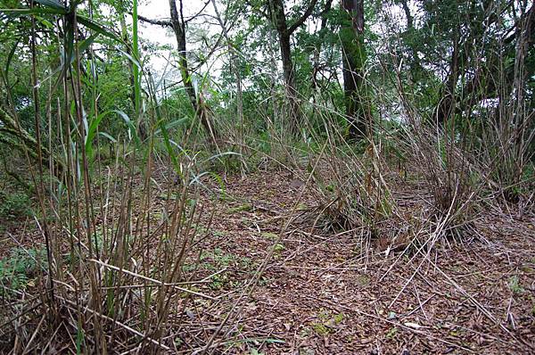 十里駐在所遺址