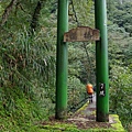 櫻橋(抱崖吊橋，七號橋)