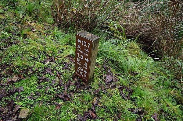 里程碑