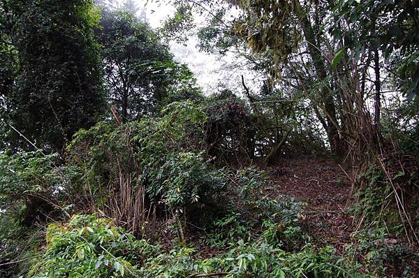 多美麗駐在所遺址