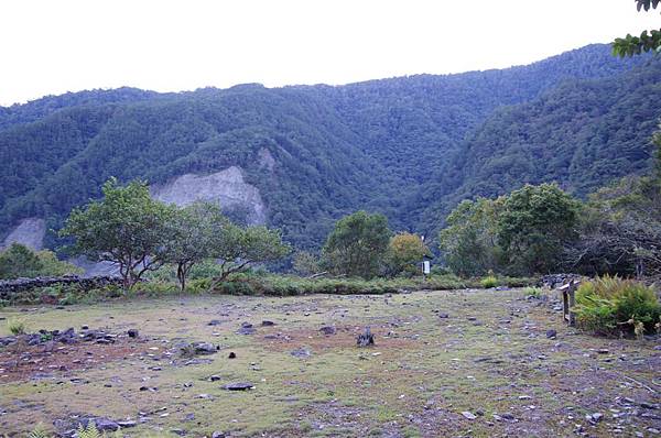 平台