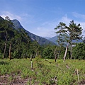 河階草原