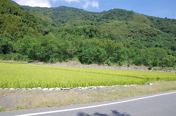 往玉里車站途中