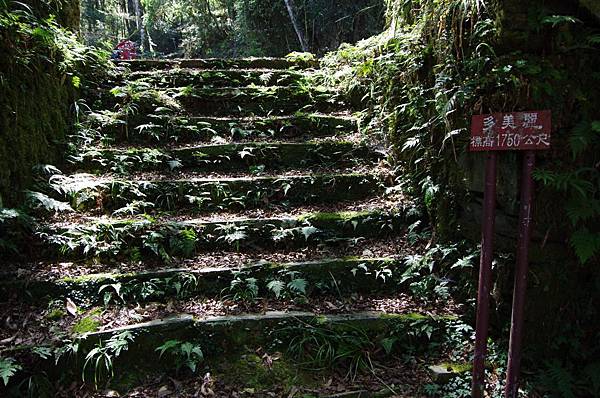 多美麗駐在所遺址