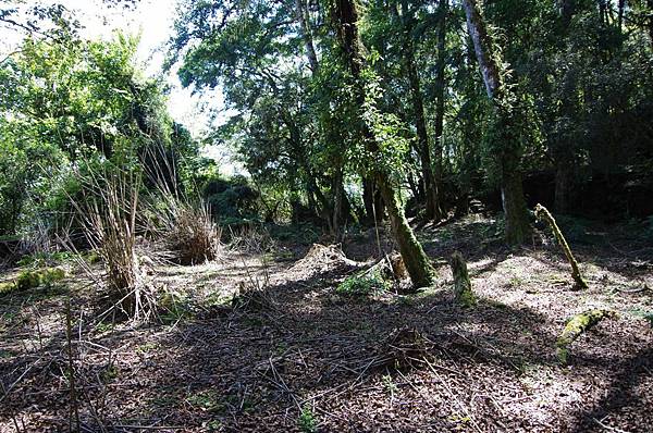 多美麗駐在所遺址