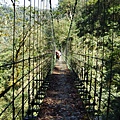 櫻橋(抱崖吊橋，七號橋)