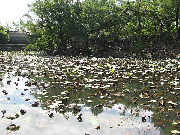 蓮花池