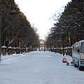 2008/01/15 北海道神宮