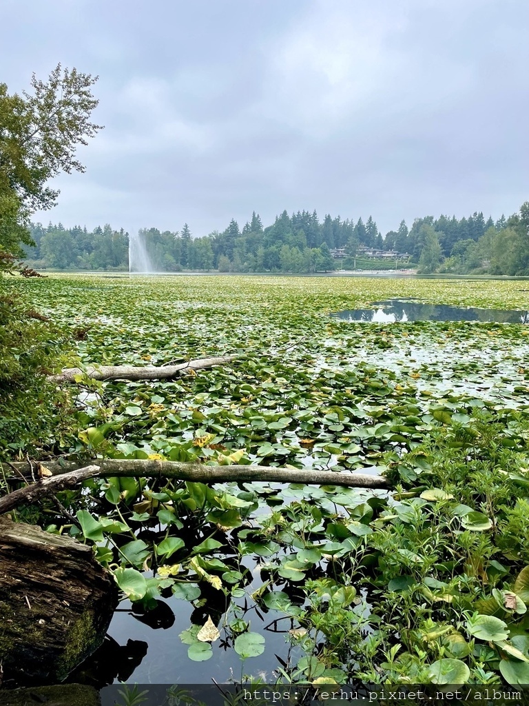 2025夏 菲沙河谷周邊小旅行