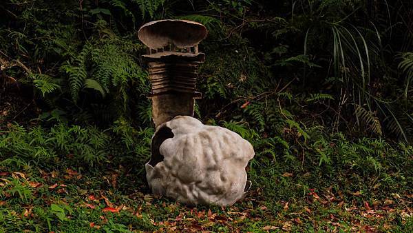 DSCF8494-1.jpg DSCF8494-1.jpg