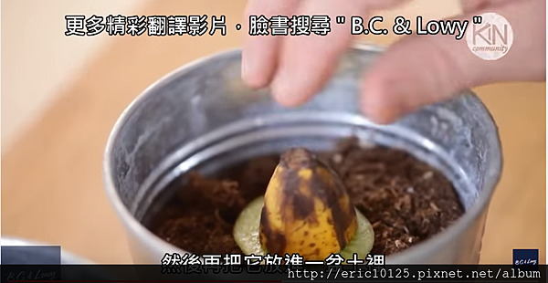 2016-04-09 18_07_50-太神奇了!園藝達人教你如何在家種出香蕉和奇異果的綜合體 (中文字幕) - YouTube.png