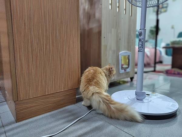 輕手機推薦-SHARP AQUOS sense8 極輕手 輕手機推薦-SHARP AQUOS sense8 極輕手