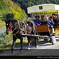 京馬車