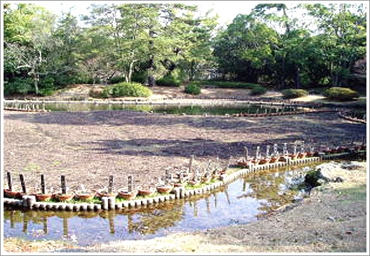 第29景-花園