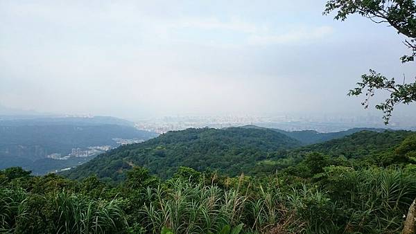 樹林大棟山_170630_0050.jpg