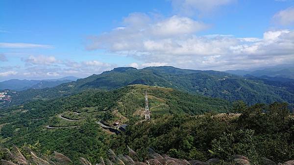 DSC_3111.JPG