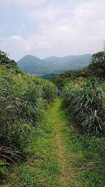 深奧山_39.jpg