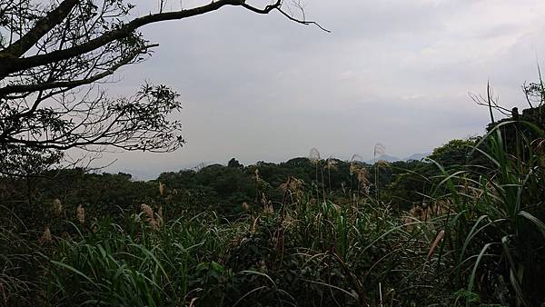 基隆第一高峰姜子寮山&#128526;_3.jpg