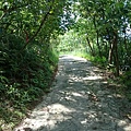 DSC_4330.JPG