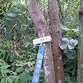 DSC_4373.JPG